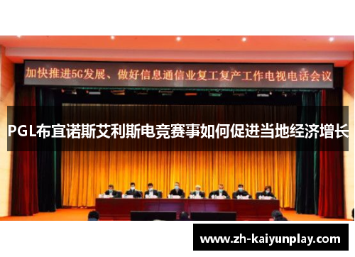 PGL布宜诺斯艾利斯电竞赛事如何促进当地经济增长 PGL布宜诺斯艾利斯电竞赛事如何促进当地经济增长
